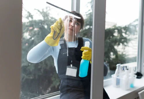 Nettoyage de vitres intérieures et extérieures à Bas-en-Basset